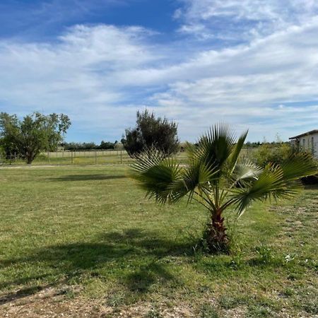 « La Parenthese » Gite En Camargue Arles Exterior photo